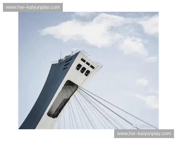 加拿大vs视频：解锁数字时代的无限可能